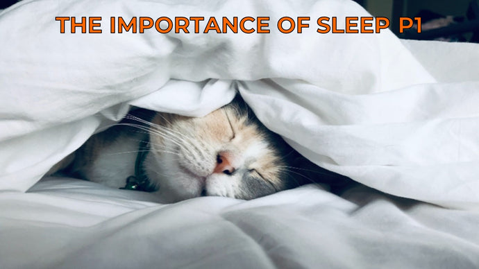 The Importance of Sleep (P1)
