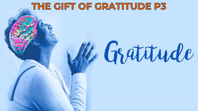 The Gift of Gratitude (P3)
