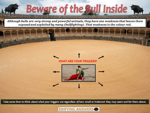 Beware of the Bull Inside - Edifying Answers